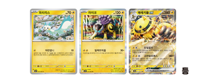 좋아하는 포켓몬과 같은 타입의 포켓몬 60장